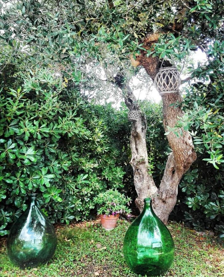 Trulli Francesca Ciclovia Villa โลโกโรตอนโด ภายนอก รูปภาพ