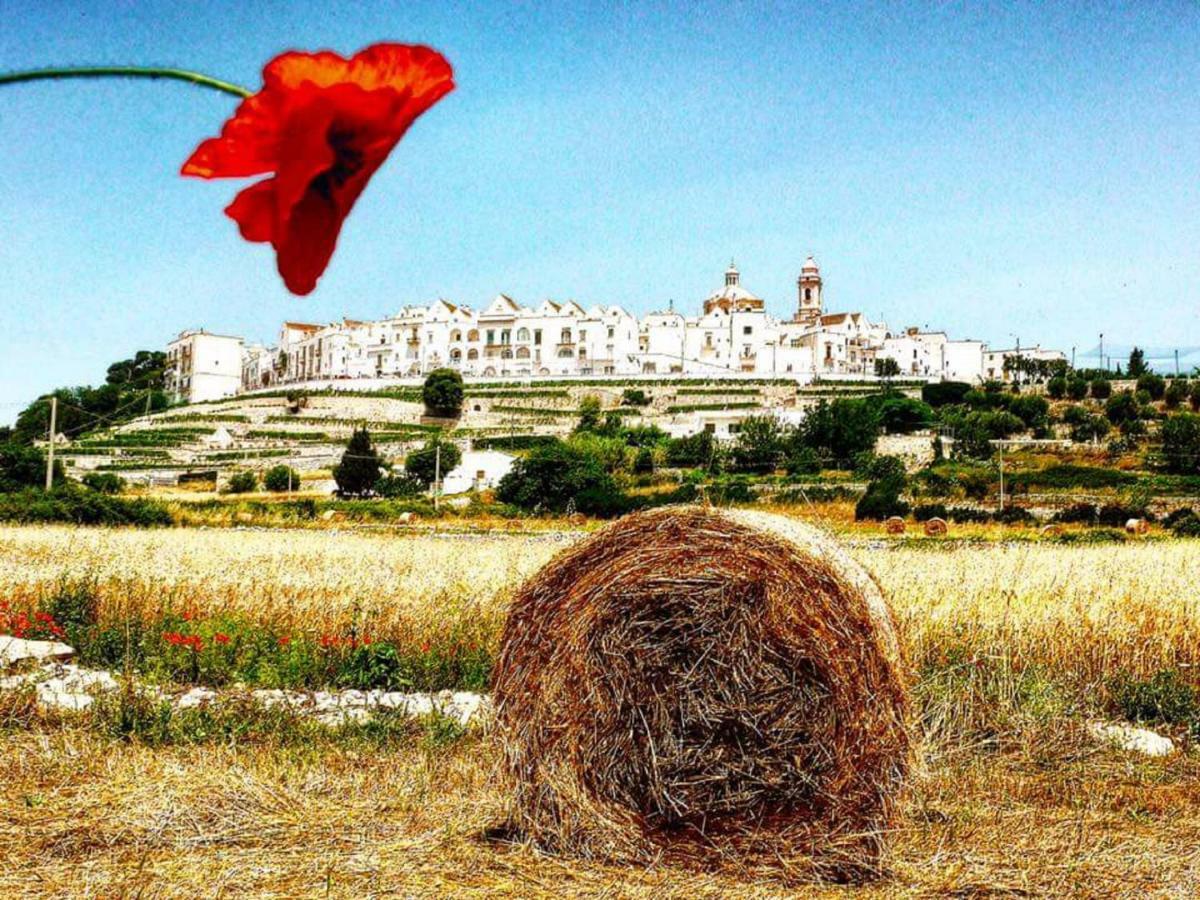 Trulli Francesca Ciclovia Villa โลโกโรตอนโด ภายนอก รูปภาพ