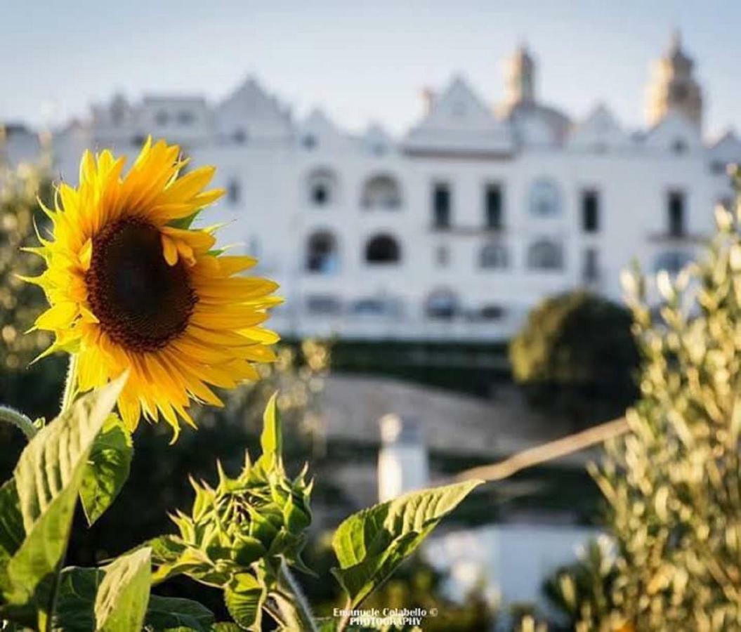 Trulli Francesca Ciclovia Villa โลโกโรตอนโด ภายนอก รูปภาพ
